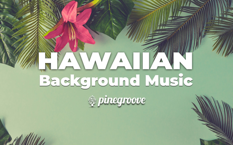 Hawaii Is A Paradise - Stock Music