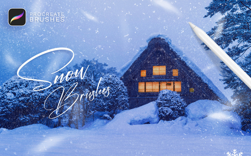 Sneeuw Decoratieve Overlay Procreate Borstels