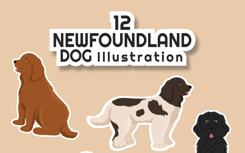 12 Ilustrace novofundlandského psa