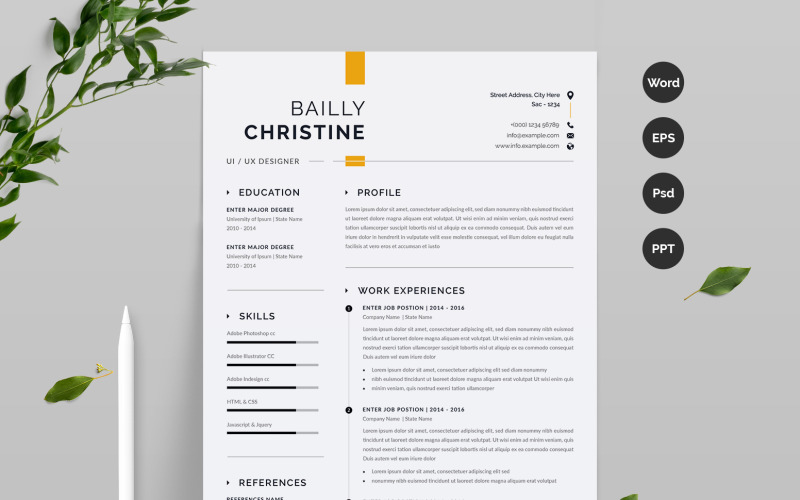Modèle de CV simple