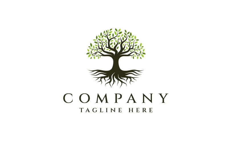 Modelo de Design de Logotipo Abstrato Vibrante Carvalho Banyan Tree