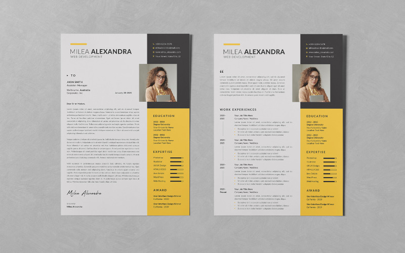 Modelli PSD di CV/curriculum moderni