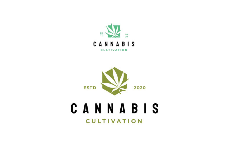 Modello vettoriale di disegno del logo della foglia di cannabis CBD