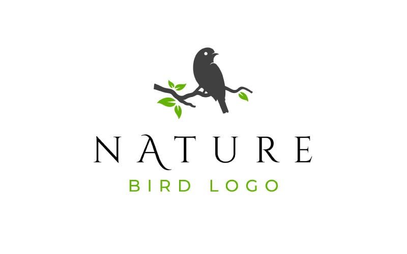 Perche d'oiseau sur un modèle de vecteur de conception de logo de branche