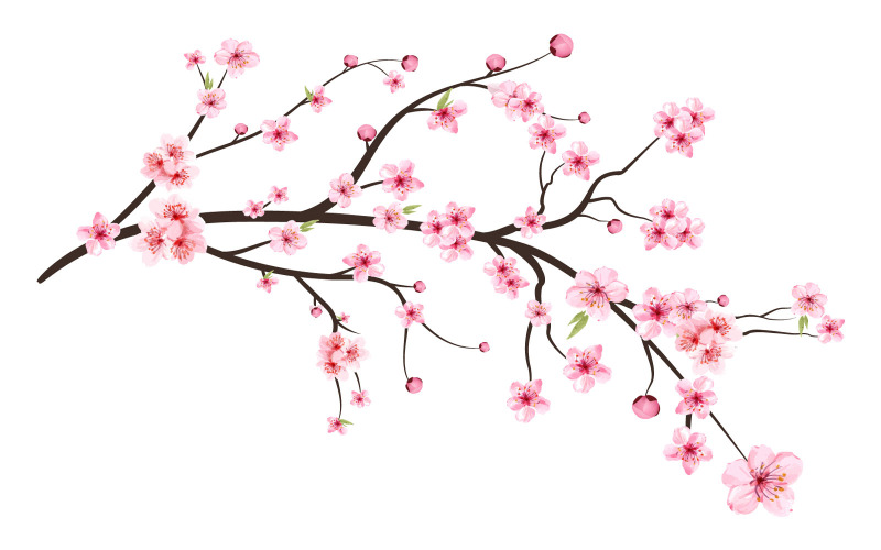 Fiore di ciliegio con fiore rosa Sakura