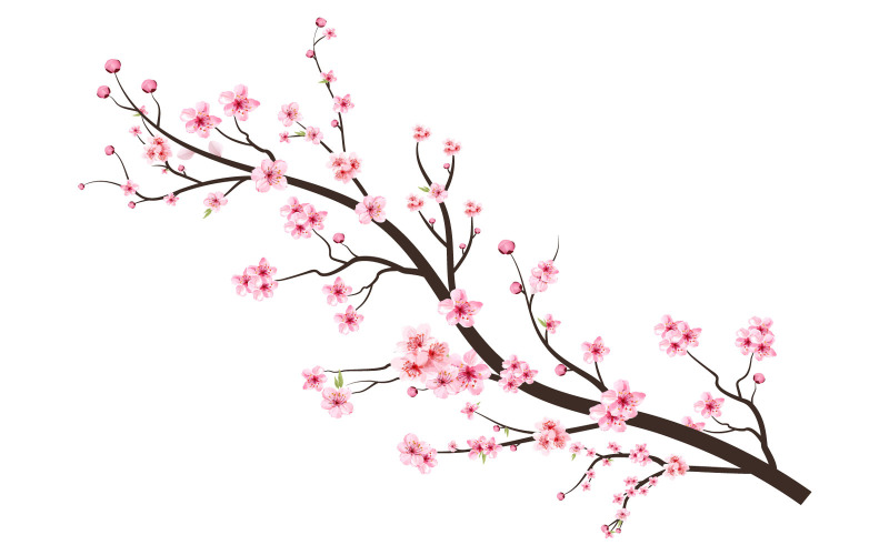 Flor de cerezo con vector de flor de sakura rosa