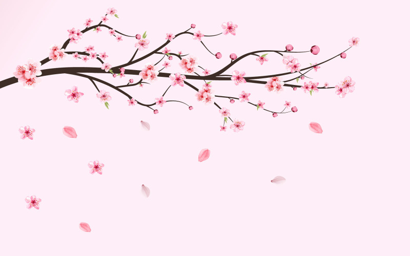 Cherry Blossom Sakura Flower Fall