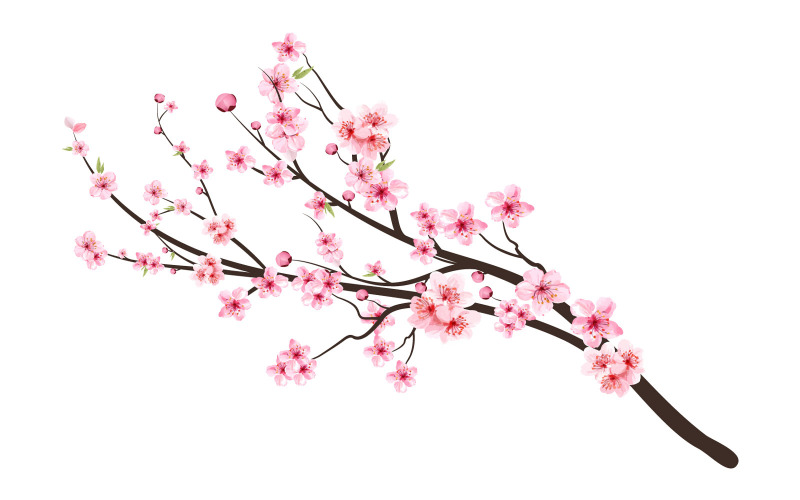 Cherry Blossom Tree Branch med Sakura Flower