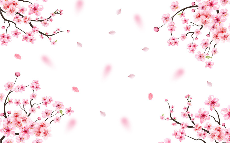 Sakura çiçeği ile kiraz çiçeği vektör