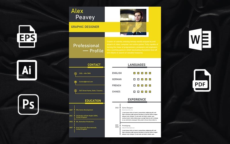 Plantilla de currículum profesional - Plantilla de CV