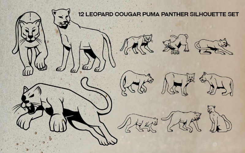 12 Leopard Cougar Puma Panther Zestaw sylwetki