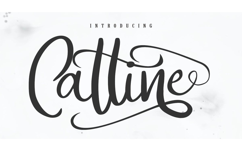 Catline Modern Calligraphy Script Font TemplateMonster
