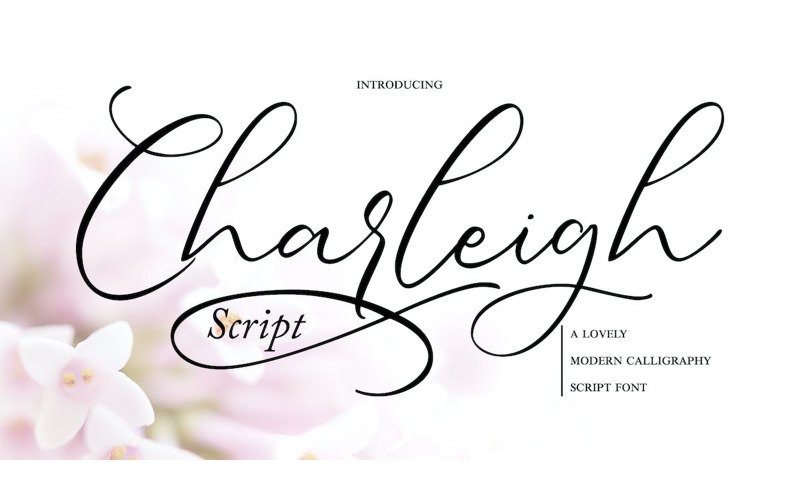 Charleigh Modern Calligraphy Script Font - TemplateMonster