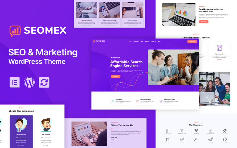 SEOMEX - SEO 代理和在线营销 WordPress 主题