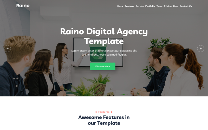 Raino – šablona vstupní stránky reakce digitální agentury