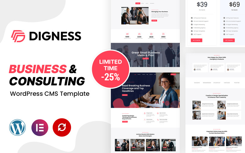 Digness - 咨询业务 WordPress 主题
