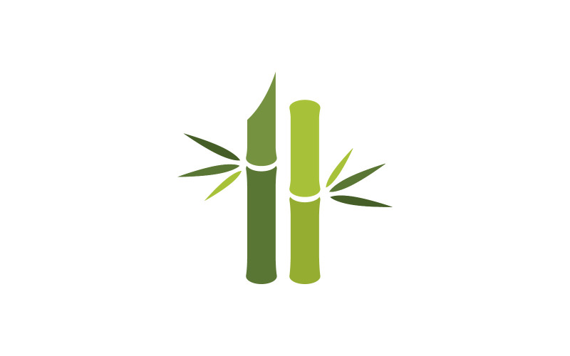 Illustration vectorielle de bambou vert Logo Design V10