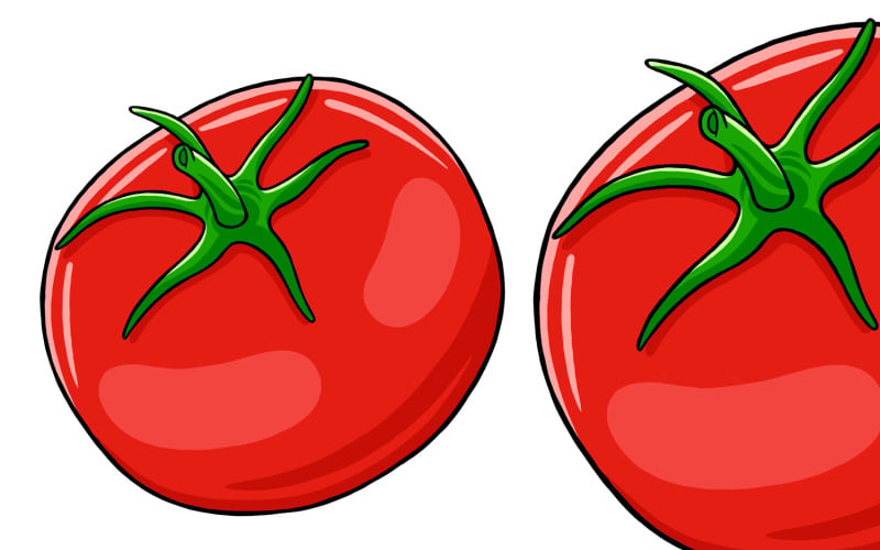 Illustrazione vettoriale di pomodoro