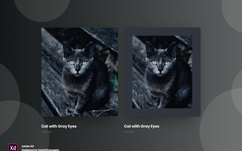 Portföy Hover Durumu Kahraman Başlığı Açılış Sayfası Adobe XD Şablonu Cilt 057