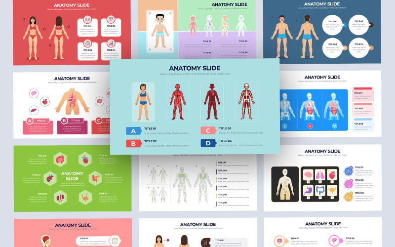 Menselijke anatomie Vector Infographic Keynote-sjabloon