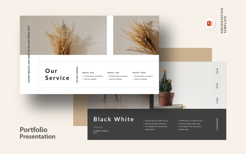 Portfolio Presentation Template #306830 - TemplateMonster