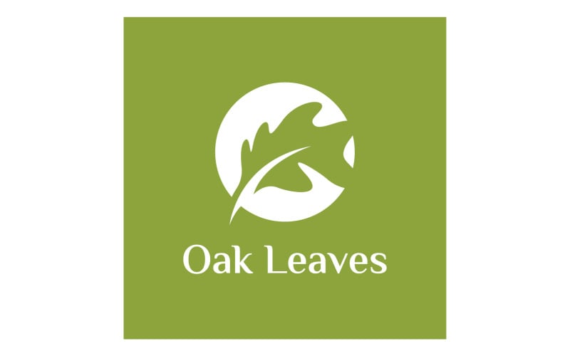 Wektor logo natura liść dębu 15