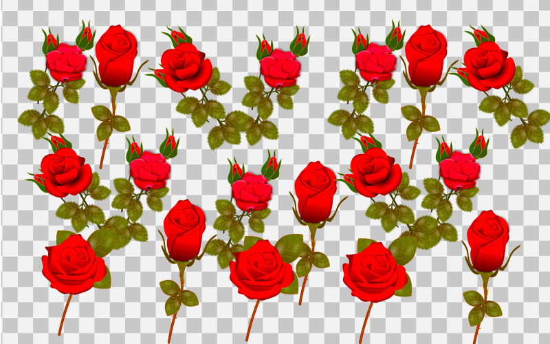 Rose realistiska rosenblad och knopp med röda blommor vektor idé