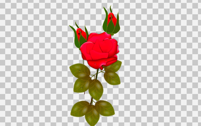 Vector rosa roja ramo de rosas realista con concepto de flores rojas