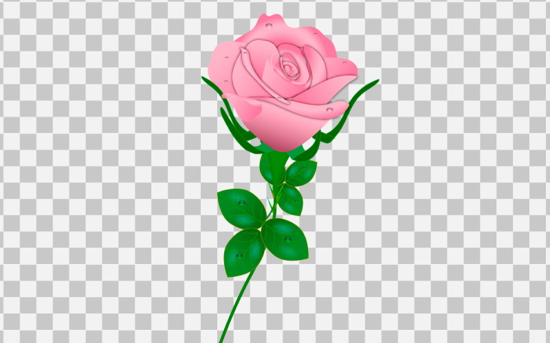 vektor röd ros realistisk ros bukett med blomma koncept