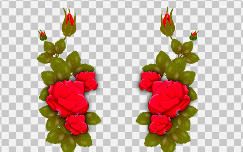 vektor stieg realistisches rosenblatt und knospe mit roter blumenidee
