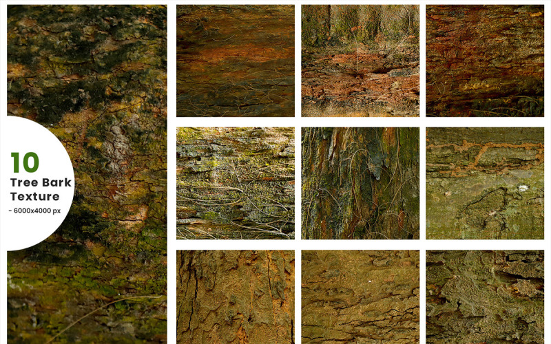 Fundo de textura de casca de árvore realista e fundo de textura de madeira. textura grunge