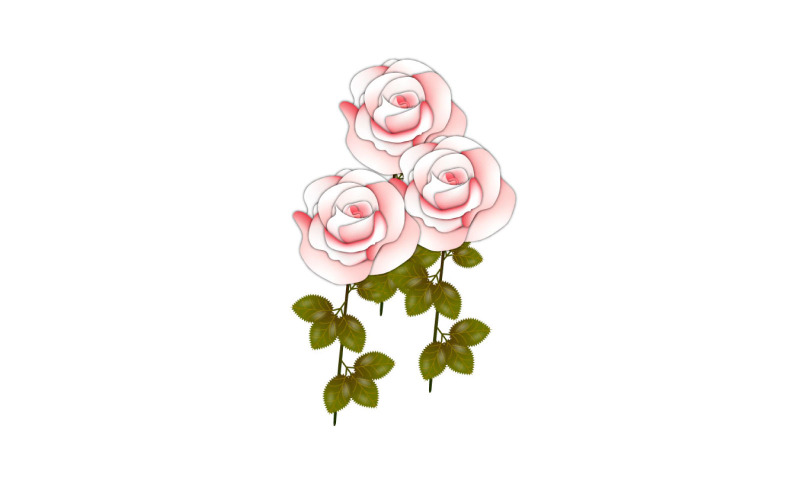 Vector red rose use for valentine's day greeting card templates
