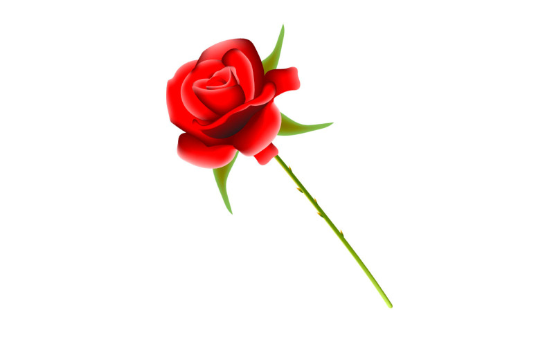 Vektor-rote Rose für die Idee von Valentinstag-Grußkartenvorlagen