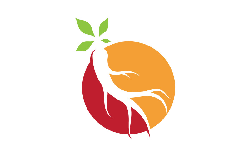 Ginseng vektör illüstrasyonu. Ginseng kökü logo sembolü V3