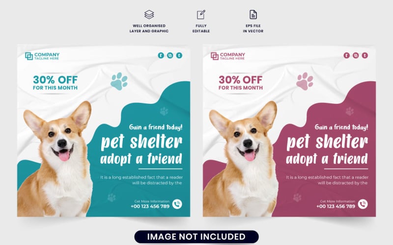 Pet veterinary promotional template 310942 TemplateMonster