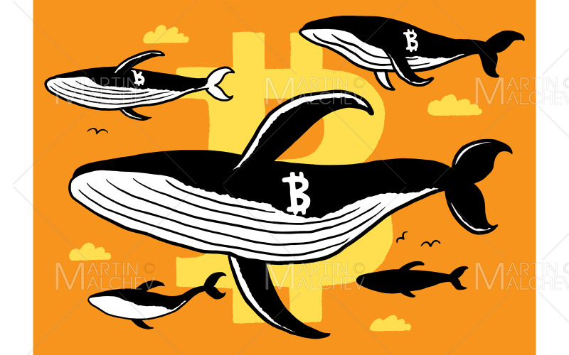 Crypto Whales Doodle vektoros illusztráció