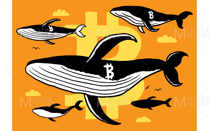 Kripto Balina Doodle Vektör Çizim