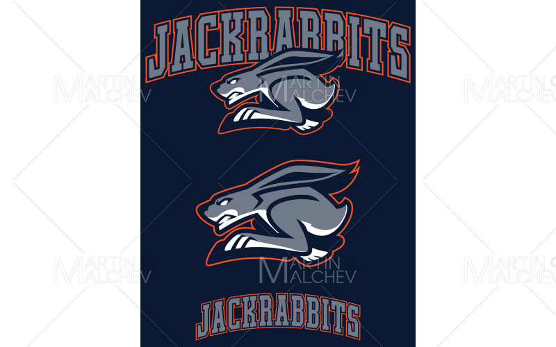 Ilustración de vector de mascota de equipo de liebres