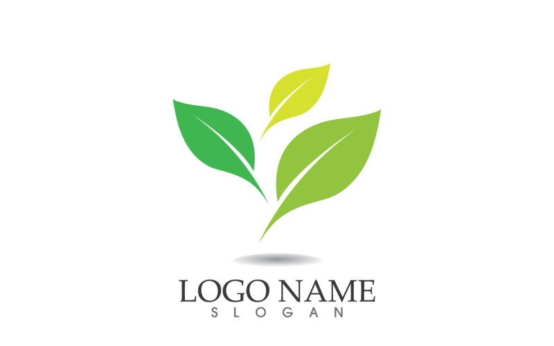 Groen eco blad natuur vers logo vector v8