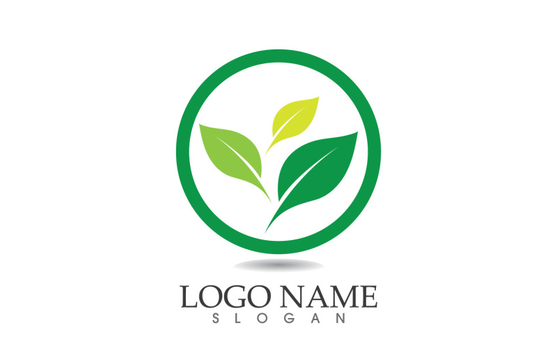 Grüner Öko-Blatt-Natur-frischer Logo-Vektor v40