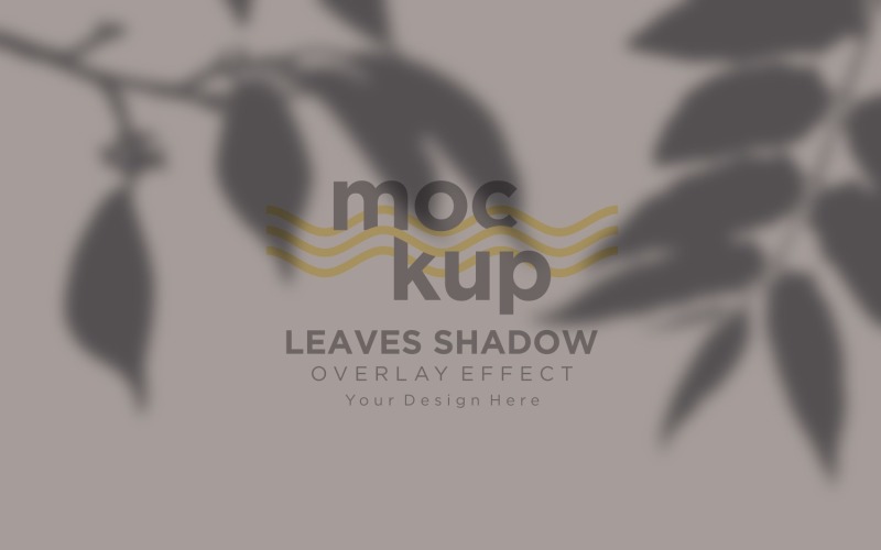 Leaves Shadow Overlay Effect Mockup 42