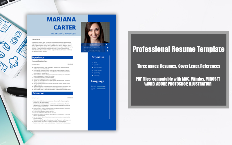 Printable Resume Template PDF BLUE-WHITE