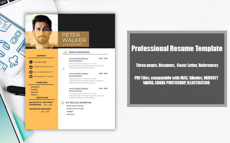 Printable Resume Template PDF Software Developer
