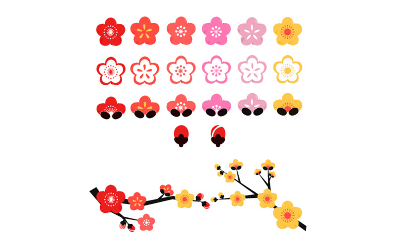 Plum Blossom Flower Illustration