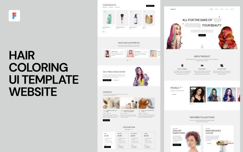 Hair Coloring UI Template Website