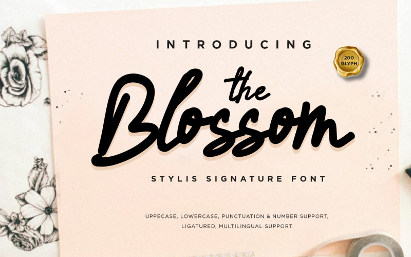 Blossom Signature - písma moderního skriptu