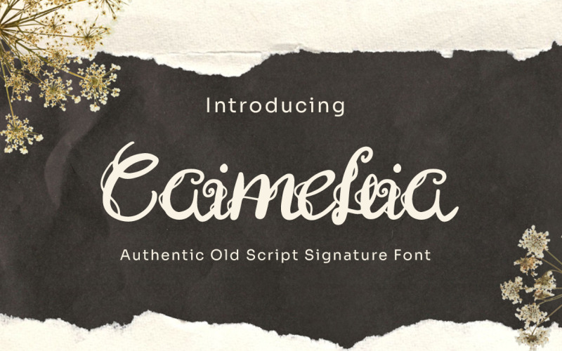 Caimellia - Carattere della firma dello script