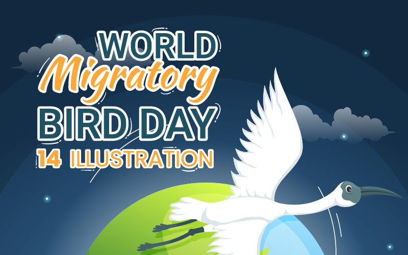 4. Dünya Göçmen Kuşlar Günü İllüstrasyonu