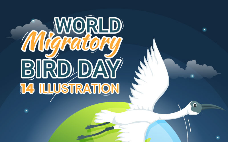 4 World Migratory Bird Day Illustration