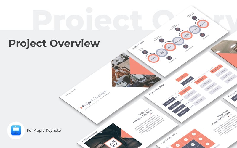 project presentation overview